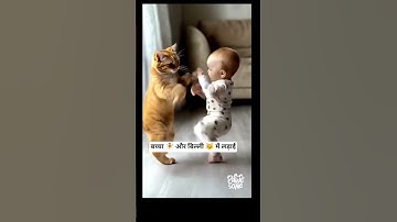 fight between cat and child #catvideos #catlovers #shorts #achayanarmyfamily MadCaP#vivekveena