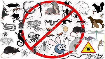 Anti Insects Frequency [Ultrasonic Pest Control] To Remove All Kinds Of Insects