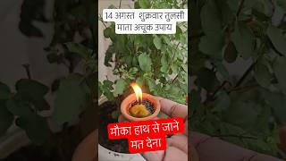 14 अगस्त शुक्रवार अचूक उपाय #pradeepmishraji #pradeepmishrakiketotke #pradeepmishrajidhankeupay