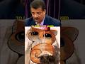 Do You Disagree That Humans Caused Global Warming😱?#neildegrassetyson #podcast #education #joerogan