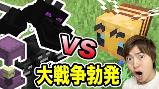 マイクラ ミツバチvsウィザー エンダードラゴンの戦いがカオス 大戦争 Youtube