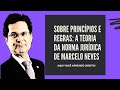 Marcelo Neves - Sobre Princípios e Regras