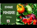 Seminare i pomodori: ecco come e quando. Tutorial completo