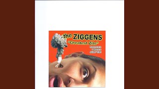 Video thumbnail of "The Ziggens - Really Bad Sunburn"
