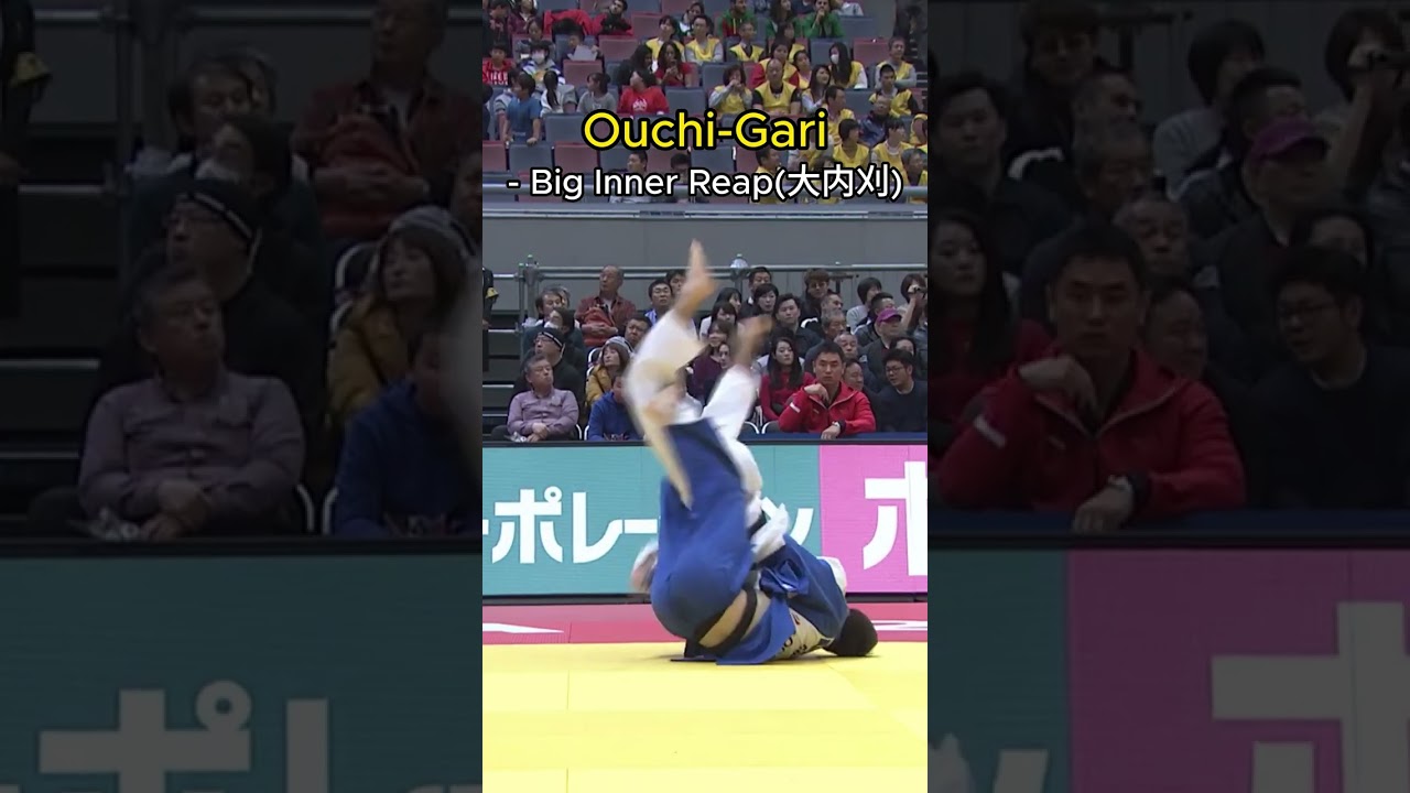Underrated throw - Ouchi-Gari / Big Inner Reap /大内刈