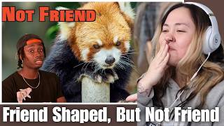 Celebrity OtakuCouple Reacts: The Red Panda Problem Not Being Talked About Enough (Casual Geographic) Net Worth