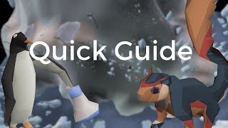 Giant Squirrel Guide - Penguin Course