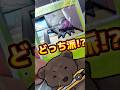 【究極の選択】〇〇ならどっち?#シャドーボックス#ポケモン