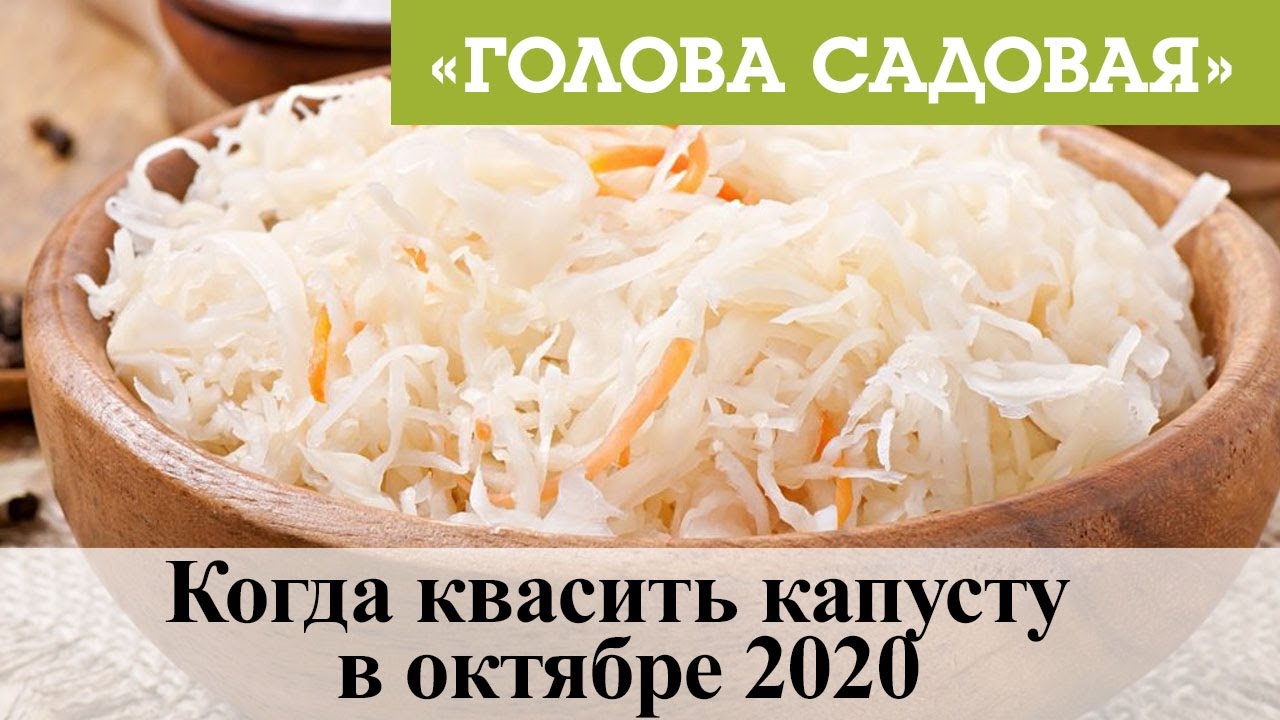 Квасить капусту луна. Квасить капусту в октябре 2020. Когда квасить капусту в октябре. Дни засолки капусты в октябре. Квашеная капуста тети Тани.