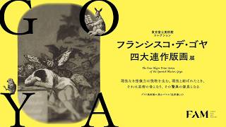 大型美術書 ゴヤ GOYA 作品集 フランシスコ・デ・ゴヤ 美術出版社 大型美術書 ゴヤ GOYA 作品集 フランシスコ・デ・ゴヤ 美術出版社