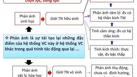 Triết học - Chương 2 - Phần II - Trường ĐH Luật Tp.HCM