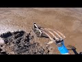 Harvesting Softshell Clams | Coast of Maine