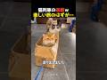 猫列車の悲劇ｗ 楽しい旅のはずが…