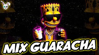 SET GUARACHA MIX 2024 #1 (LIVE SET, ALETEO, GUARACHA MIX)