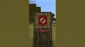 Minecraft’s Most USELESS Features… #shorts