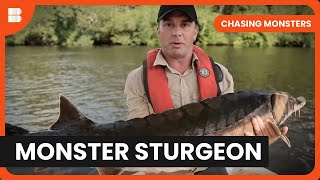 Chasing Giant Sturgeon in Canada - Chasing Monsters - S02 EP1 - Nature & Adventure Documentary
