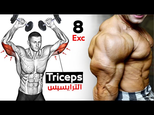 How To Build Your Triceps workout Fast (8 Effective Exercises) 