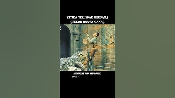 Terjebak bersama seekor buaya ganas #alurceritafilm #film