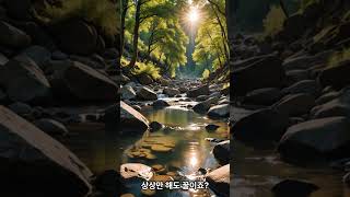 서울근교게곡 TOP3
