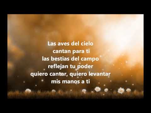 Quiero Alabarte Señor (Pista y letra)