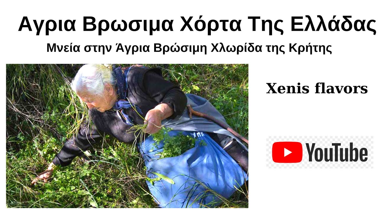 Άγρια Βρώσιμα Χόρτα της Ελλάδας! Μνεία της Άγριας Βρώσιμης Χλωριδας της Κρήτης! Xenis flavors