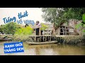 Ting tht v vng  ranh gii trng en  vivu tv