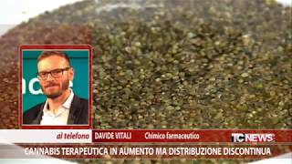 Cannabis terapeutica in aumento ma distribuzione scarsa