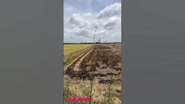 Cần bán nhanh DT 27 công giá 110 triệu 1 công thuộc huyện mộc hóa tỉnh Long An lh 0819259737