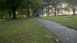 WP 20161002 17 25 31 Pro