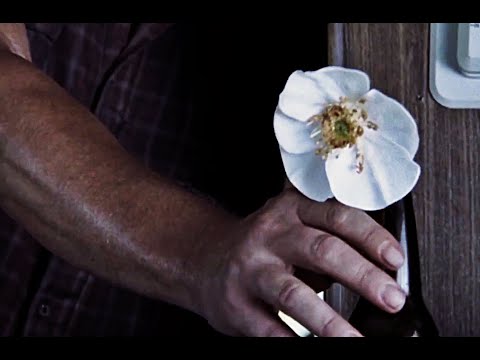The Walking Dead - Cherokee Rose