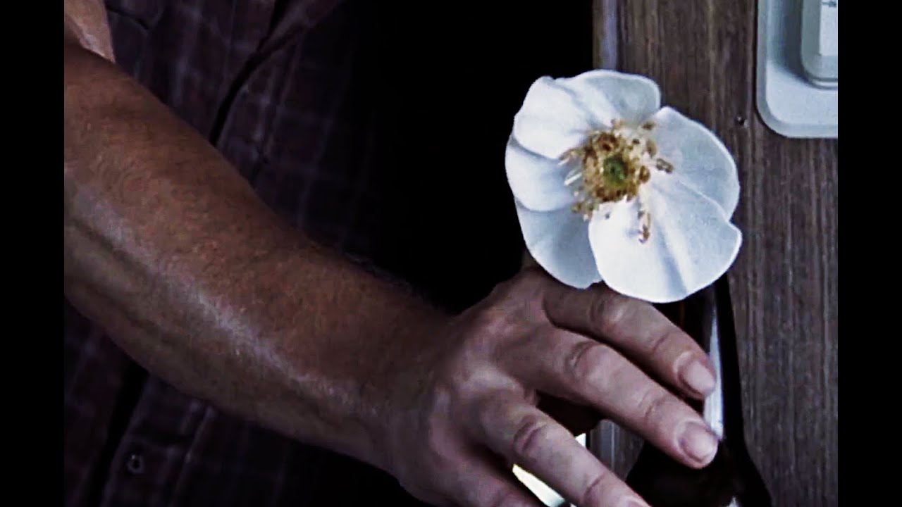 The Walking Dead Cherokee Rose Wallet - Officially Licensed Trifold Style With Floral Design - View #11
