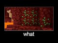 Minecraft wait what meme part 78 (emeralds in the nether)