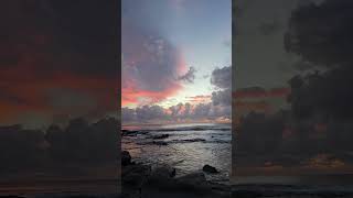 Motile Morning at Alex Heads, Australia | Short Sunrise 271 (BG) – Vibrant Horizon | UHD, 4K