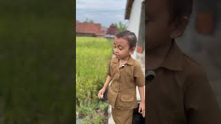 BETAH GULUNG GULUNG DI SAWAH