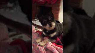 trim AC40793C D2E9 4299 B0FC 1D20901041F6