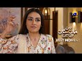 Maa Nahi Saas Hoon Main Episode 14 | 𝐁𝐞𝐬𝐭 𝐌𝐨𝐦𝐞𝐧𝐭 𝟎𝟐 | Hammad Shoaib - Sumbul Iqbal | Har Pal Geo