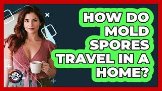 How Do Mold Spores Travel In A Home?