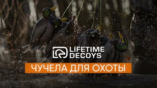 Чучела для охоты LIFETIME DECOYS