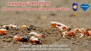 Sustainable Fabric Antibacterial Finishing - Texnology®CHITOSAN Chitosan-Based Antibacterial Agent