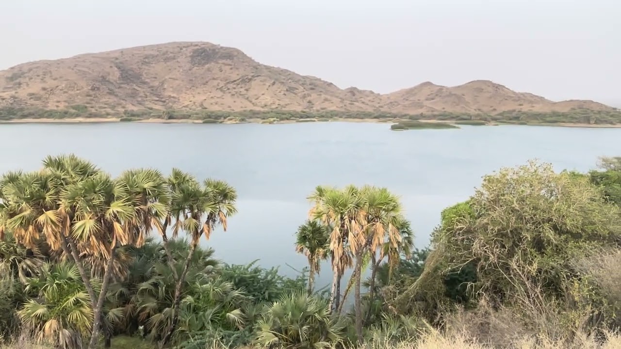 سد ابوعريش حصري (2026