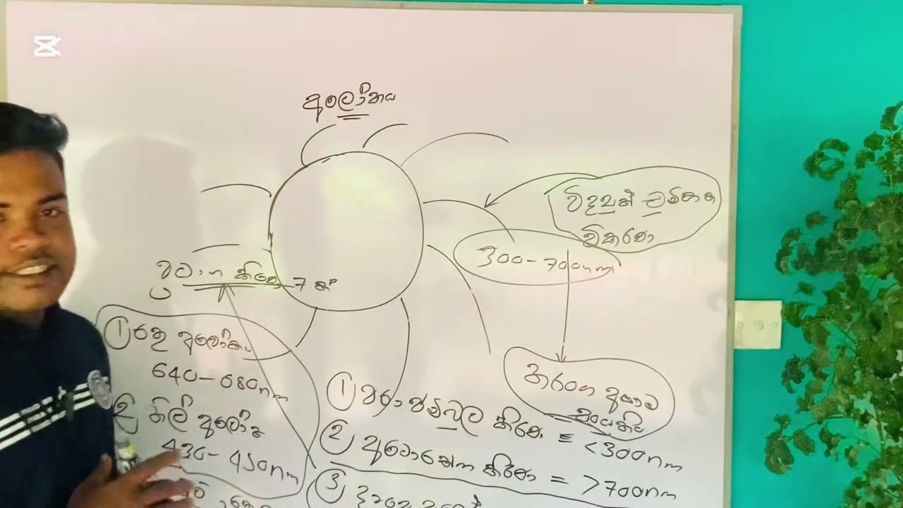 Bio system technology  අලෝකය