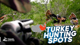 Turkey Hunting Place You Can Go | Best Turkey Hunting Spots in USA!