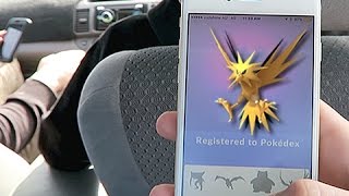 Zapdos, Articuno & Moltres In Pokemon GO