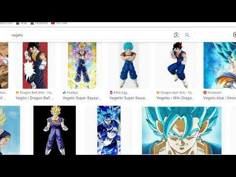 Vegito, Dragon Ball Wiki