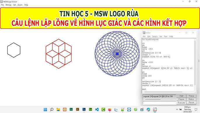 Lập trình với rùa