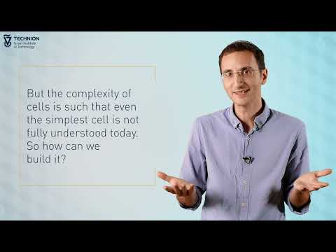 Video Presentation Levy Lab