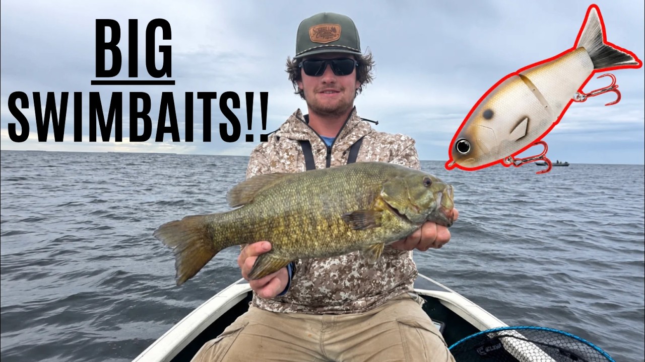 BIG SWIMBAITS for SMALLMOUTH?! (INSANE Results)