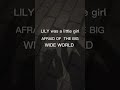 Download Lagu Alan Walker, K-391 & Emelie Hollow -LILY (lyrics)