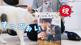 うちの猫たちが雑誌デビューします!
