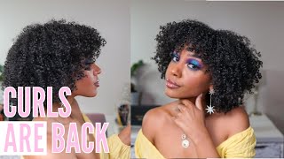CURL DAZE CURLY HAIR REVIEW 3B 3C NATURAL CURLY HAIR | Chylissa B Chanté